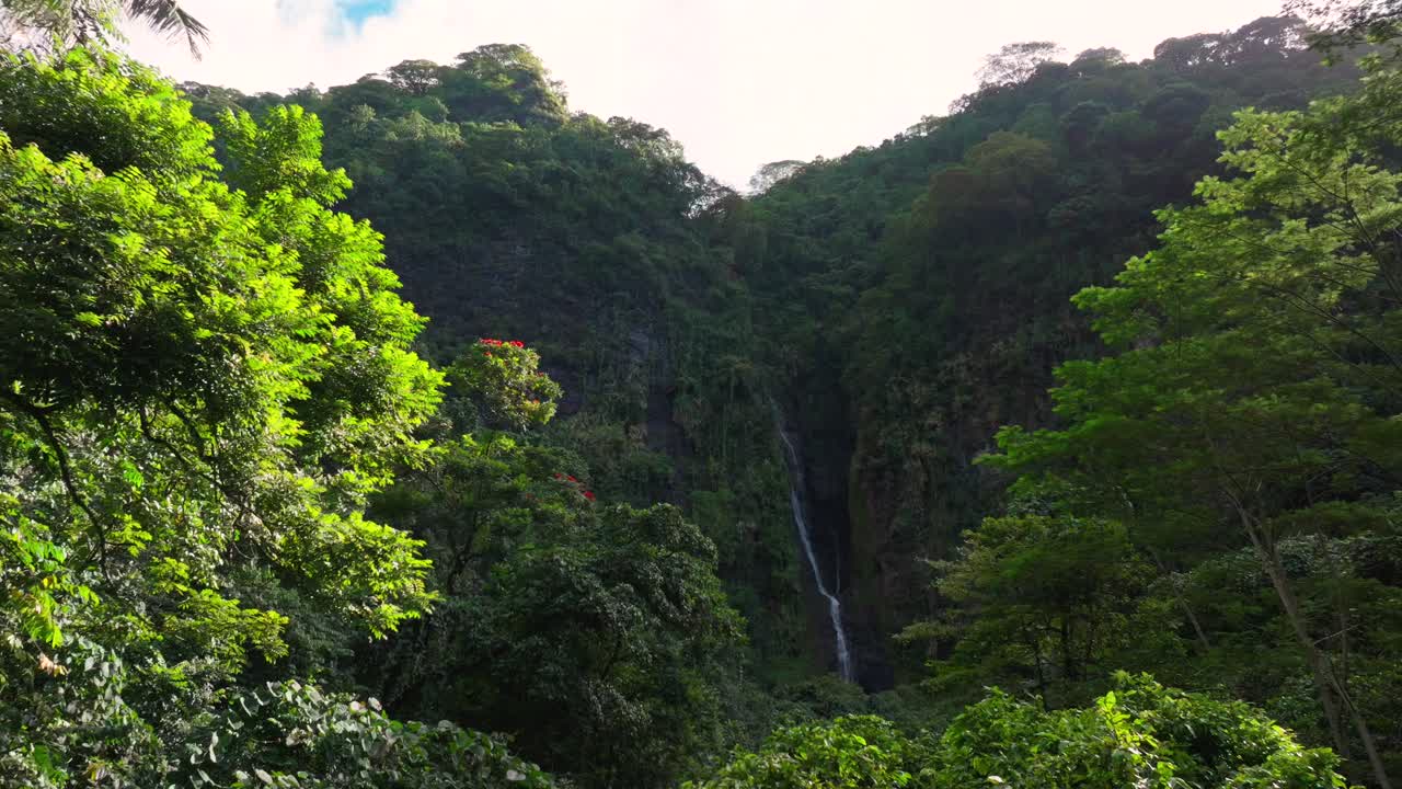 Faarumai Waterfall Falls Valley Tahiti Island French Polynesia aerial drone Vaimahuta Fall Tiarei Hitiaa watershed picturesque river cascades trees forest jungle greenery fauna sunny upward motion