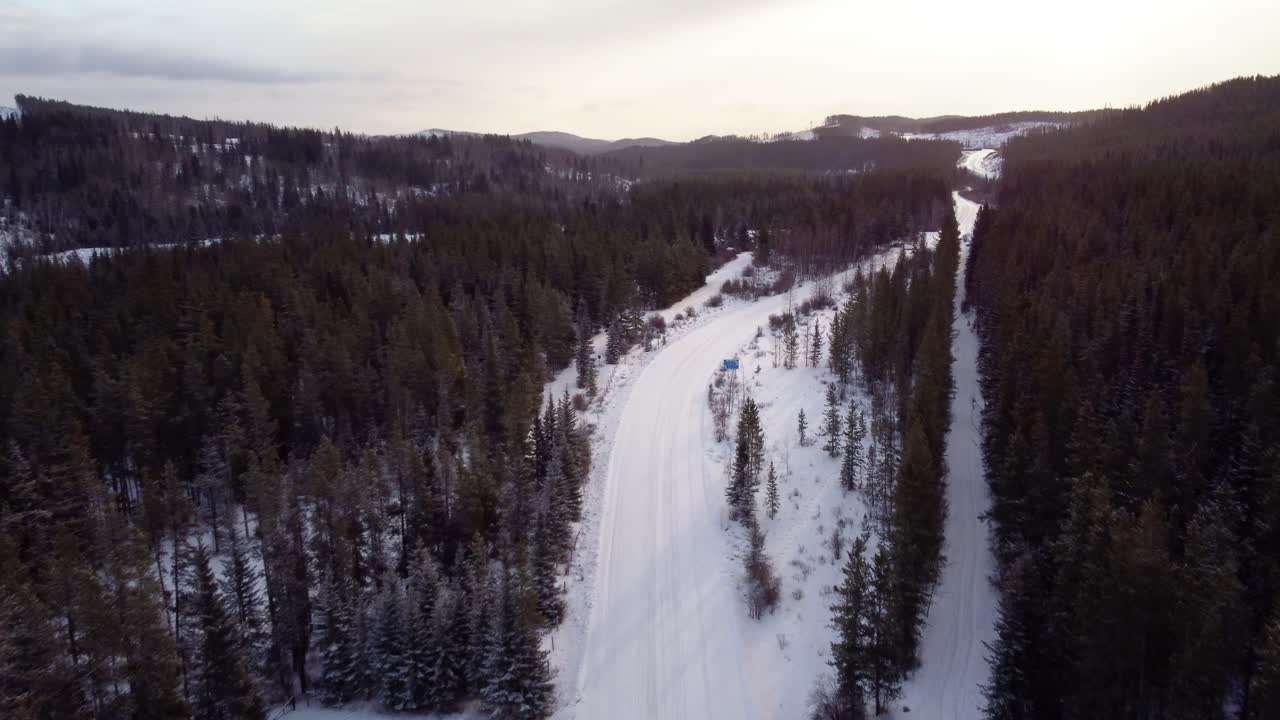 Ripresa con drone della foresta invernale in Alberta, Canada.