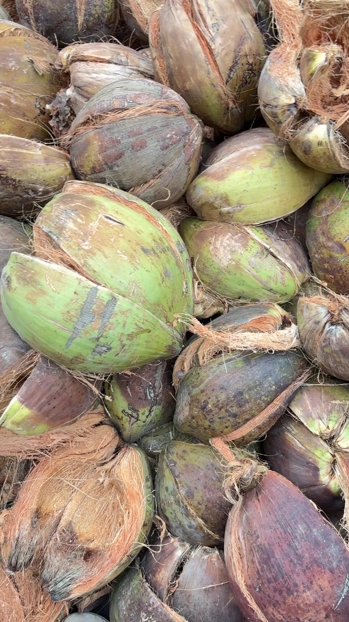 Close-Up View of a Large Pile of Coconut Husks and Whole Coconuts