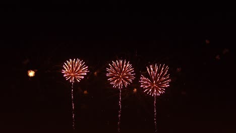 coloridos fuegos artificiales explotando en el cielo nocturno. celebraciones y eventos en colores brillantes.