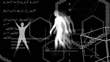 animation of science computations and equations