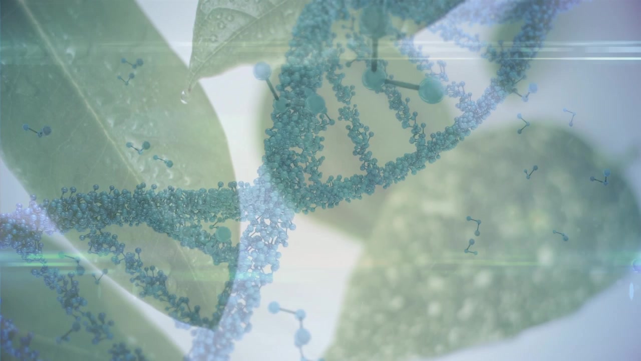 Animação de estruturas de DNA e moleculares sobre close-up de folhas em fundo cinza