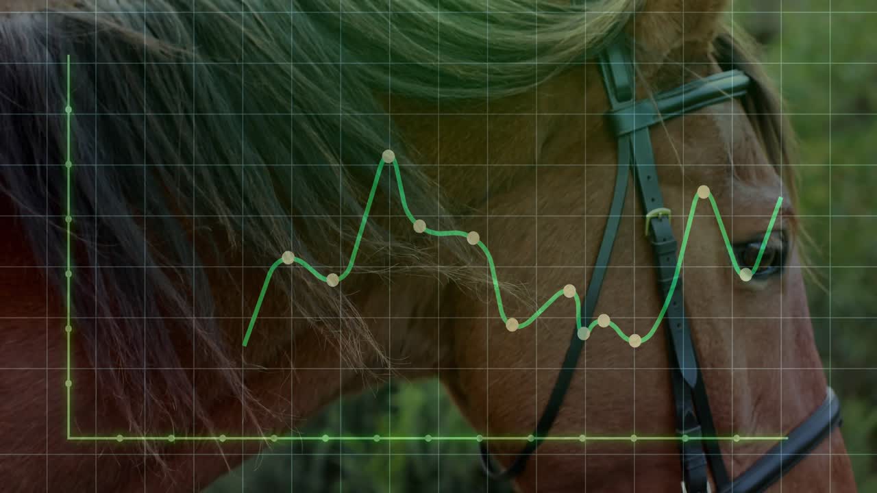 Graph overlay appearing initiating bridled horse grazing grass while chart tracking head movements