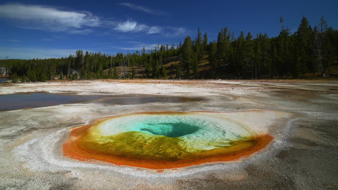 Grand Prismatic Spring, Mid Geyser Basin, Biscuit Basin, Morning Glory Opal Pool, Wyoming, USA, Yellowstone nasjonalpark. Fargerike varme kilder, damp, termisk naturlandskap, blå himmel, skyer, solfylt, panorering mot venstre.