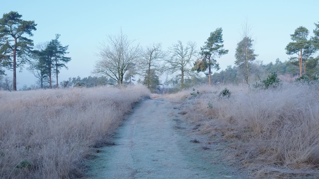 Frozen Path through a Winter Landscape