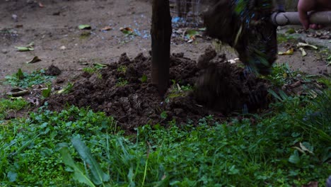 Shovel-used-for-digging-the-soil-on-vineyard-by-farmer-preparing-the-land