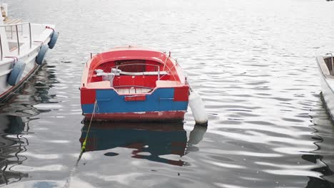 small red and blue boat at a dock