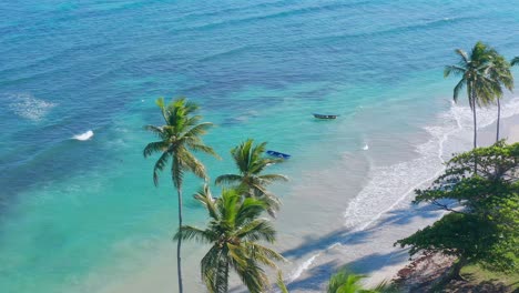 Tres-Barcos-De-Pesca-Listos-Para-Ir-A-Pescar,-En-Una-Toma-Aérea-Detrás-De-Los-Cocoteros,-Olas-En-La-Playa-Turuesa-Agua-Azul,-Día-Soleado