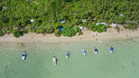 Vista-Aérea-A-Vista-De-Pájaro-De-La-Costa-Arenosa-De-Mauricio,-Barcos-Anclados-Y-Paisaje-De-La-Playa-De-La-Isla-Ile-Aux-Benetier,-Disparo-De-Drones