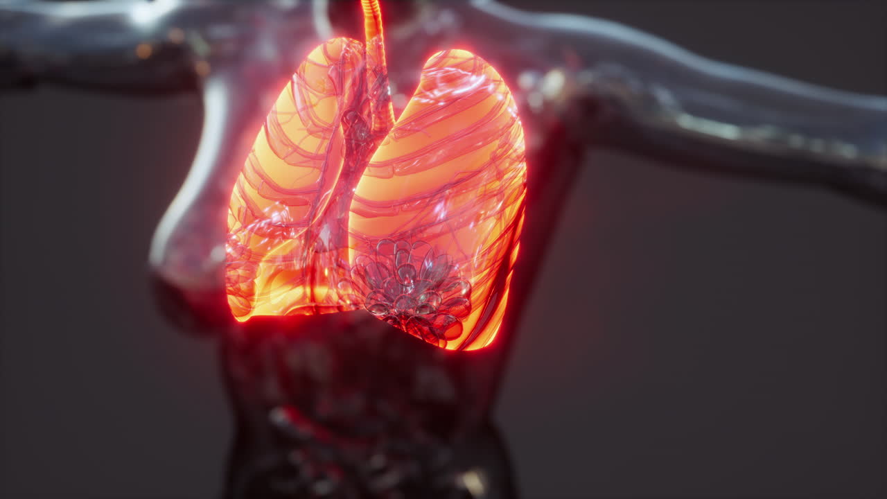 holograma de pulmones inflamados en el cuerpo humano