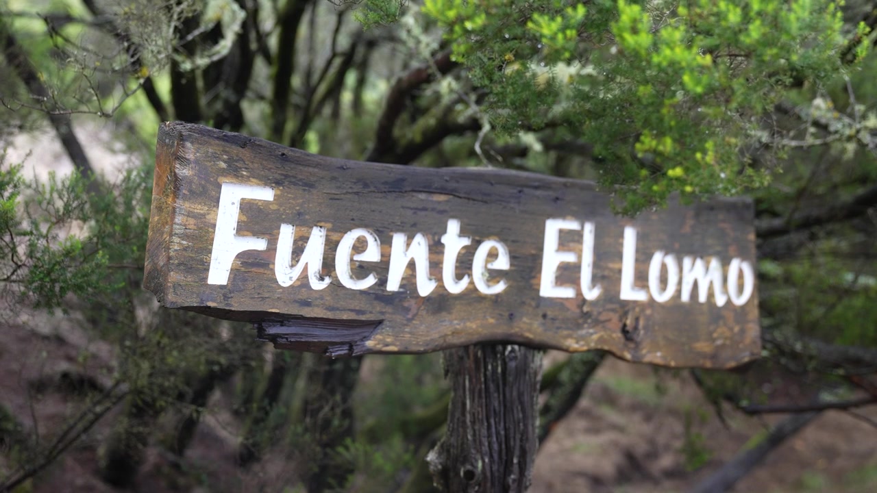 Placa Fuente el Lomo, Fonte Natural na Floresta Tropical de El Hierro, Ilhas Canárias, Espanha