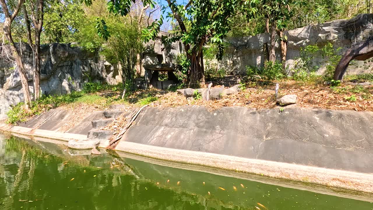 부리 (thailand) 에 있는 푸른 잔디와 바위로 둘러싸인 조용한 연못. 밝은 낮빛은 자연 환경을 향상시니다.