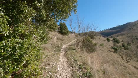 caminando por el bosque en un hermoso camino en italia - castelletta