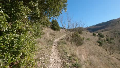 forest walking on a beautiful path in italy - castelletta