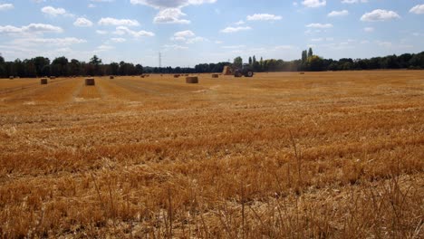 wide shot of a hey field with tractor moving hay bales around