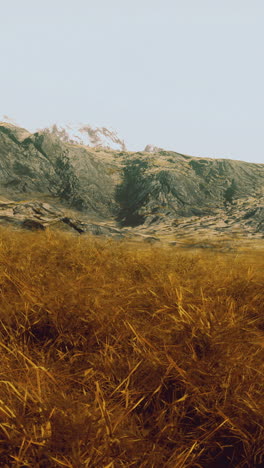 golden grassland under a clear sky with distant snowy mountains