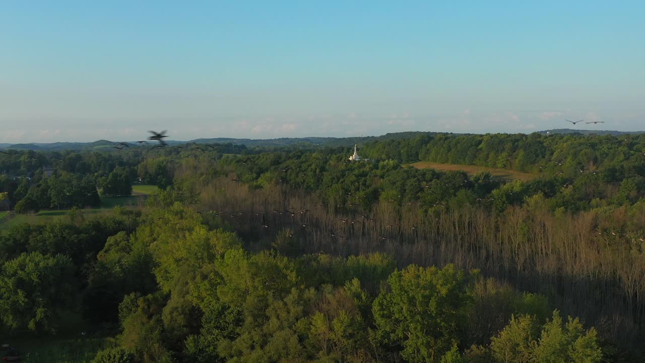 los pájaros vuelan alrededor de un dron cerca de la granja de la familia joseph smith, el templo en el fondo junto a la casa de marcos, el centro de visitantes y la arboleda sagrada palmyra lugares de origen de nueva york y el libro de mormón