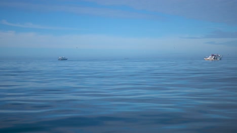 atlantic ocean shot from a moving boat with nice blue water and sky