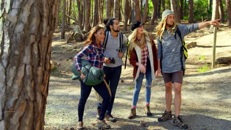 grupo de amigos acampando en el bosque 4k