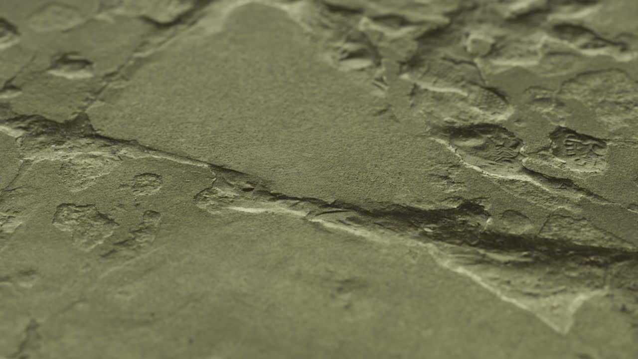 Textured surface showcasing intricate details and natural patterns