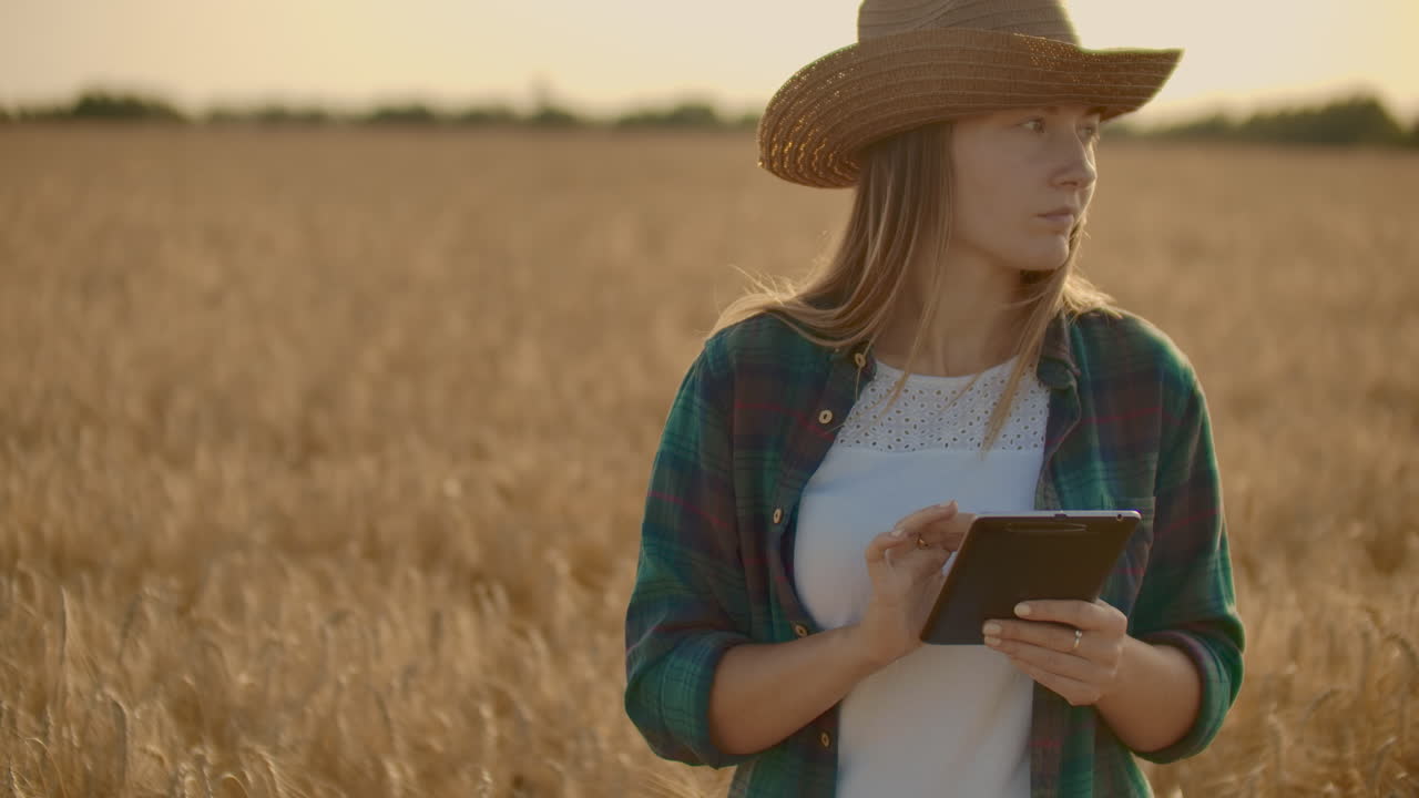 Primo piano di una contadina che cammina con un tablet in un campo di segale, tocca le spighe e preme il dito sullo schermo. Movimento verticale della telecamera Dolly. La telecamera segue la mano
