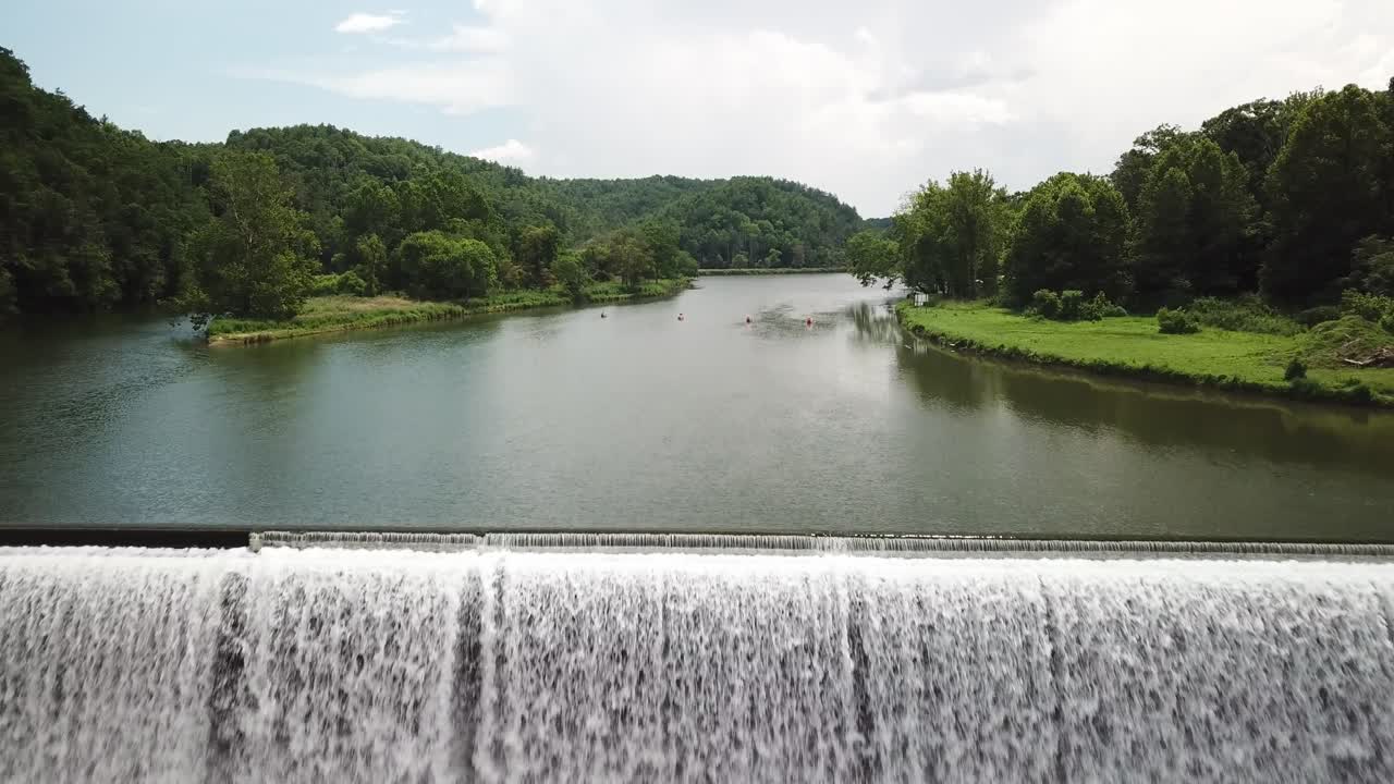 감자튀김 버지니아