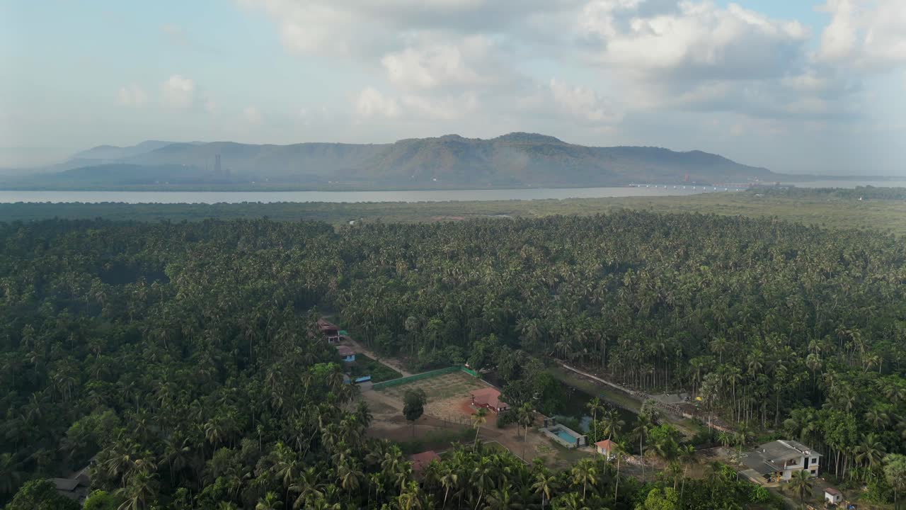 beautiful coconut trees farm in alibaug drone shot