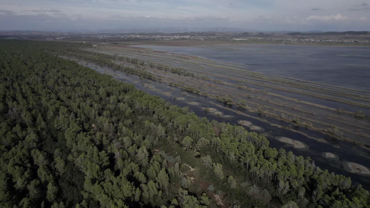 Video drone del parco naturale di Divjake-Karavasta, ripresa frontale che avanza sopra il boschetto verso il suo interno, sullo sfondo si può vedere la città.