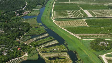 neretva valley, flying over agriculture plantation fields in delta of river neretva in south croatia - aerial drone view