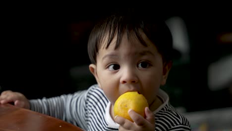 Adorable-8-Month-Old-Indian-Baby-Biting-Into-Orange-Whilst-Looking-Off-Camera