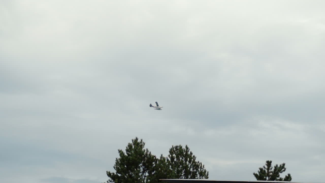 Søfly flyver lavt over bygninger i havn.
