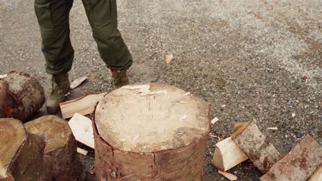 man cutting trunk with an axe - close up