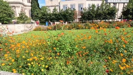 vibrant flowers in front of st. paul's cathedral