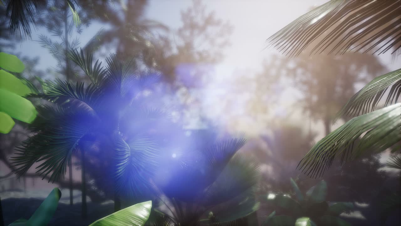 ⁇ 나무 를 가로지르는 해 가 지는 광선