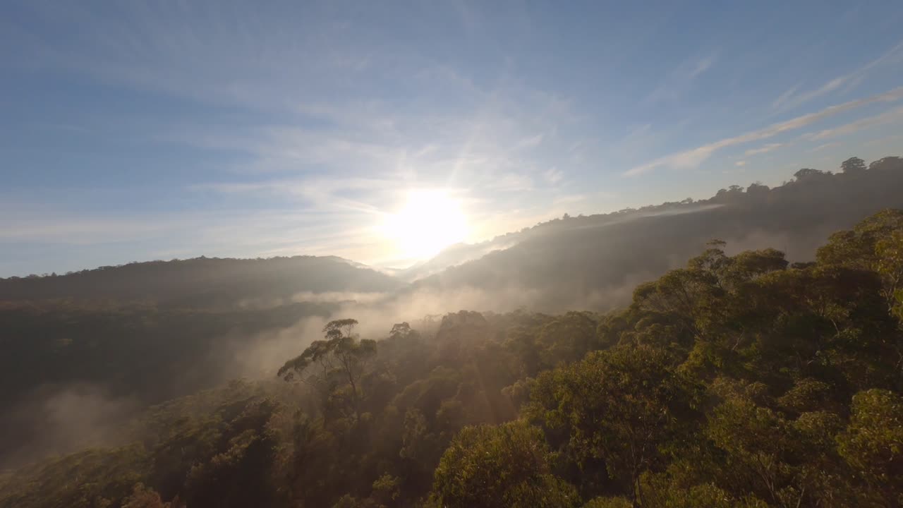 Luz do Sol Matinal - Voo Cinematográfico em Forest Hill