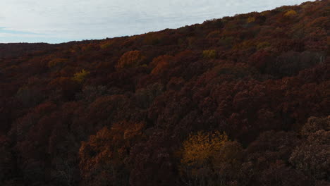 Denso-Bosque-Otoñal-En-Arkansas,-EE.UU.---Toma-Aérea-De-Drones