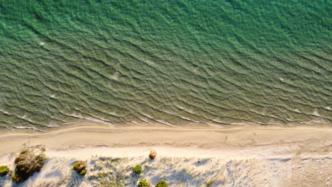 Sea-green-emerald-sea-water-waves-splashing-gently-against-white-sand,-top-down