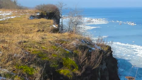 gorgeous footage of tabasalu bank cliff with tall brown reeds and grass on it during a winter sunny day. below is blue frozen baltic sea with chunks of ice and snow in the refelective light blue water