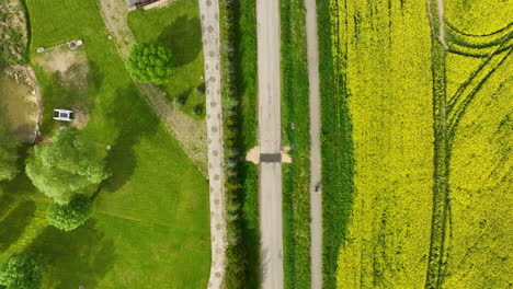 a top-down aerial view of a countryside scene showing a road dividing a green field and a yellow field