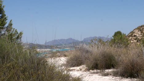 shrubs and bushes in arid spanish landscape with salt lake in the background