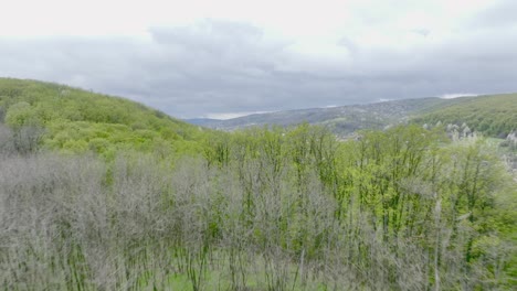 flying over the trees in the mountain forest near the anghelesti town in romania