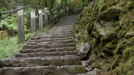 stone steps steeply leading upwards to a wooden rest area