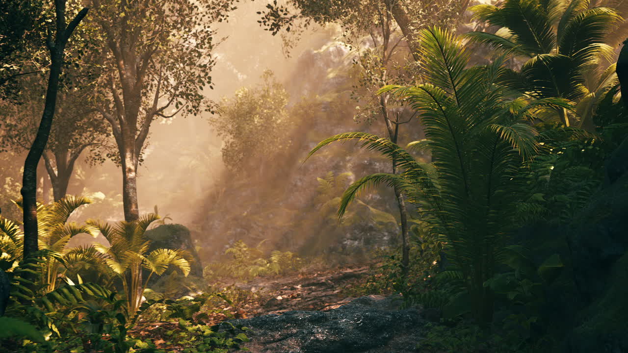 Sunlight filters through lush greenery in a tranquil forest setting