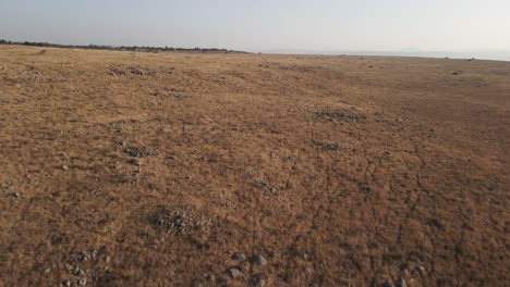 Desolate-landscape-of-Golan-heights,-wide-aerial,-bright-sunny-day