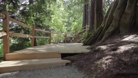 Wooden-path-in-the-middle-of-the-forest