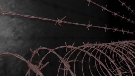 barbed wire loop 02