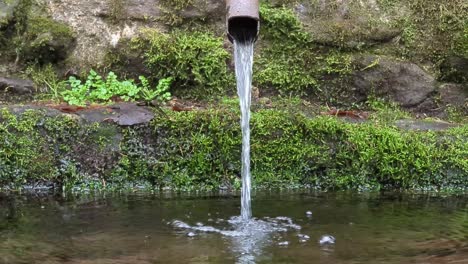 Side-view-tilt-movement-of-forest-source,-with-rusty-pipe-and-masonry-stone,-water-flows-to-river