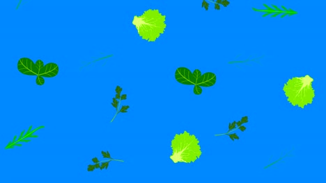 groenten animatie elementen chroma sleutel achtergrond afneembare, naadloze lus