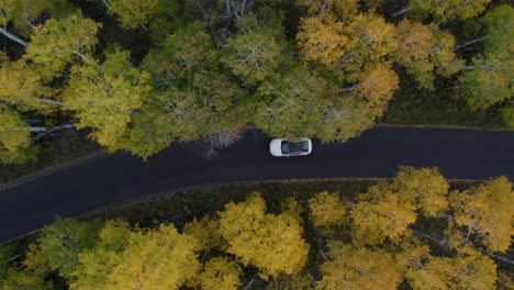 Conducción-De-Automóviles-En-Una-Carretera-De-Montaña-Con-Coloridos-árboles-De-Otoño-En-El-Bosque,-Vista-Aérea-De-Arriba-Hacia-Abajo