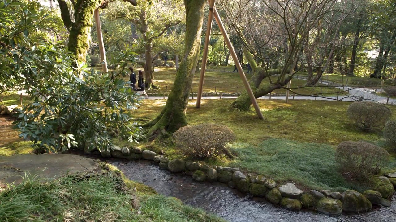 苔や木々、流れる小川がある、静かで伝統的な庭園の広角静止画。